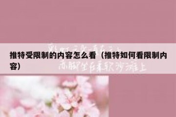 推特受限制的内容怎么看（推特如何看限制内容）