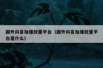 国外抖音加播放量平台（国外抖音加播放量平台是什么）
