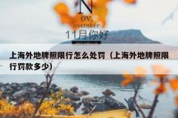 上海外地牌照限行怎么处罚（上海外地牌照限行罚款多少）