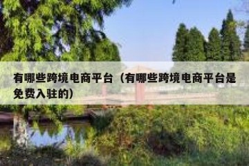 有哪些跨境电商平台（有哪些跨境电商平台是免费入驻的）