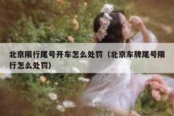 北京限行尾号开车怎么处罚（北京车牌尾号限行怎么处罚）