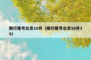 限行尾号北京10月（限行尾号北京10月19）