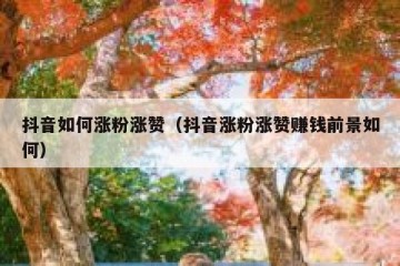 抖音如何涨粉涨赞（抖音涨粉涨赞赚钱前景如何）