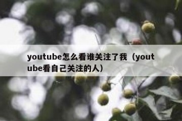 youtube怎么看谁关注了我（youtube看自己关注的人）