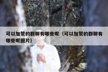 可以加赞的群聊有哪些呢（可以加赞的群聊有哪些呢图片）