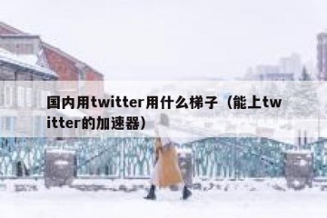 国内用twitter用什么梯子（能上twitter的加速器）