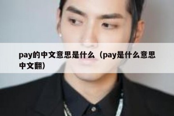 pay的中文意思是什么（pay是什么意思中文翻）