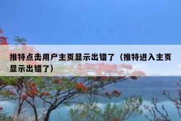 推特点击用户主页显示出错了（推特进入主页显示出错了）