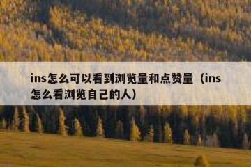ins怎么可以看到浏览量和点赞量（ins怎么看浏览自己的人）