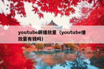 youtube刷播放量（youtube播放量有钱吗）