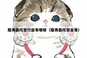 服务器托管行业有哪些（服务器托管业务）