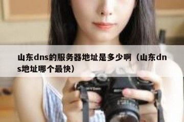 山东dns的服务器地址是多少啊（山东dns地址哪个最快）