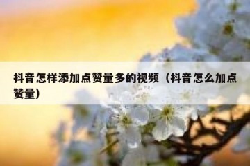 抖音怎样添加点赞量多的视频（抖音怎么加点赞量）