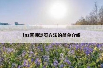 ins直接浏览方法的简单介绍