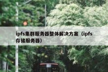ipfs集群服务器整体解决方案（ipfs存储服务器）