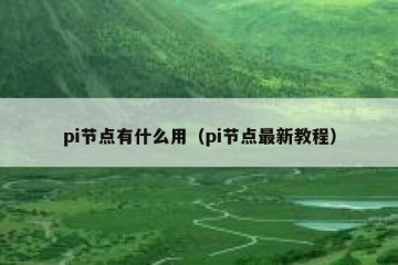 pi节点有什么用（pi节点最新教程）