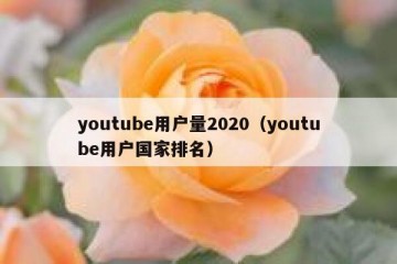 youtube用户量2020（youtube用户国家排名）