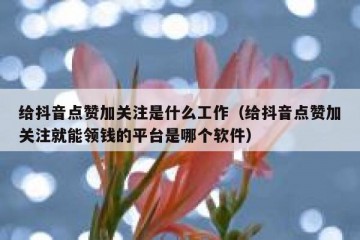 给抖音点赞加关注是什么工作（给抖音点赞加关注就能领钱的平台是哪个软件）