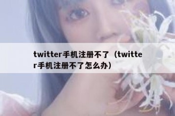 twitter手机注册不了（twitter手机注册不了怎么办）