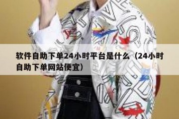 软件自助下单24小时平台是什么（24小时自助下单网站便宜）