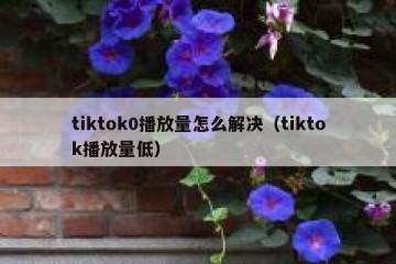 tiktok0播放量怎么解决（tiktok播放量低）