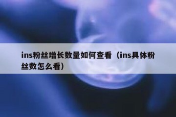 ins粉丝增长数量如何查看（ins具体粉丝数怎么看）