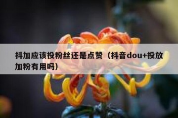 抖加应该投粉丝还是点赞（抖音dou+投放加粉有用吗）