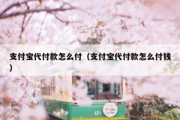 支付宝代付款怎么付（支付宝代付款怎么付钱）