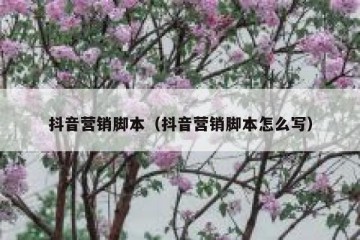 抖音营销脚本（抖音营销脚本怎么写）