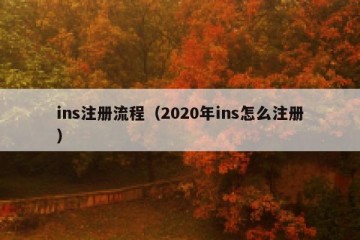 ins注册流程（2020年ins怎么注册）
