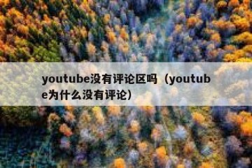 youtube没有评论区吗（youtube为什么没有评论）