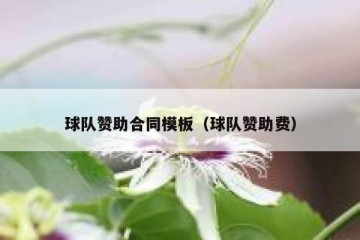 球队赞助合同模板（球队赞助费）