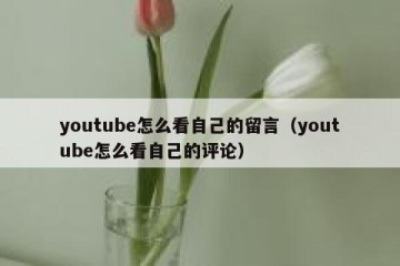 youtube怎么看自己的留言（youtube怎么看自己的评论）