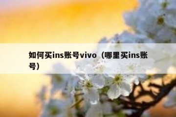 如何买ins账号vivo（哪里买ins账号）