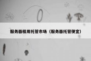 服务器租用托管市场（服务器托管便宜）