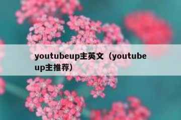 youtubeup主英文（youtubeup主推荐）