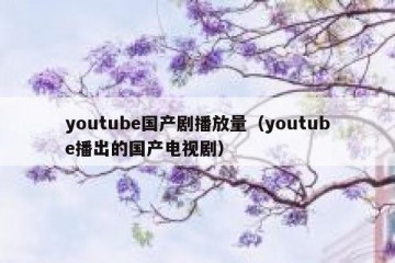 youtube国产剧播放量（youtube播出的国产电视剧）