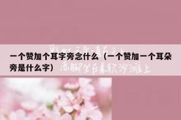 一个赞加个耳字旁念什么（一个赞加一个耳朵旁是什么字）