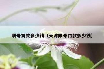 限号罚款多少钱（天津限号罚款多少钱）