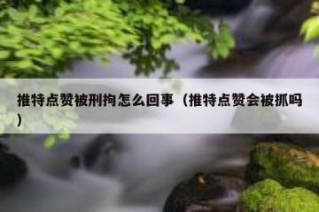 推特点赞被刑拘怎么回事（推特点赞会被抓吗）