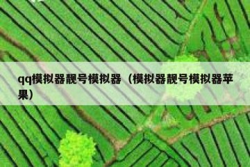 qq模拟器靓号模拟器（模拟器靓号模拟器苹果）