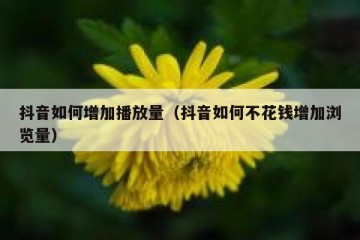 抖音如何增加播放量（抖音如何不花钱增加浏览量）
