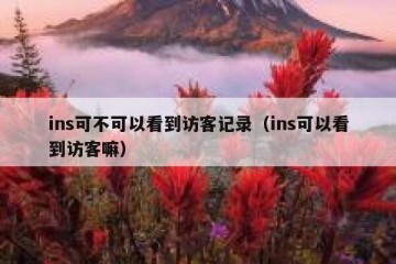 ins可不可以看到访客记录（ins可以看到访客嘛）