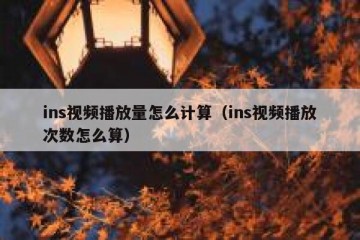 ins视频播放量怎么计算（ins视频播放次数怎么算）