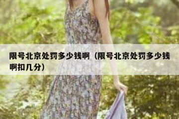 限号北京处罚多少钱啊（限号北京处罚多少钱啊扣几分）