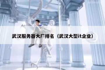 武汉服务器大厂排名（武汉大型it企业）