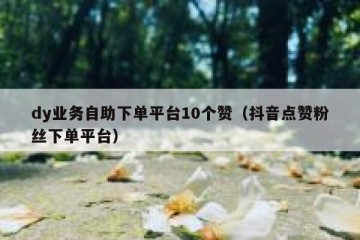 dy业务自助下单平台10个赞（抖音点赞粉丝下单平台）