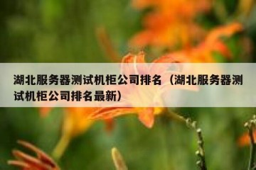 湖北服务器测试机柜公司排名（湖北服务器测试机柜公司排名最新）