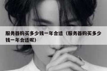 服务器购买多少钱一年合适（服务器购买多少钱一年合适呢）