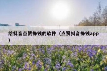 给抖音点赞挣钱的软件（点赞抖音挣钱app）